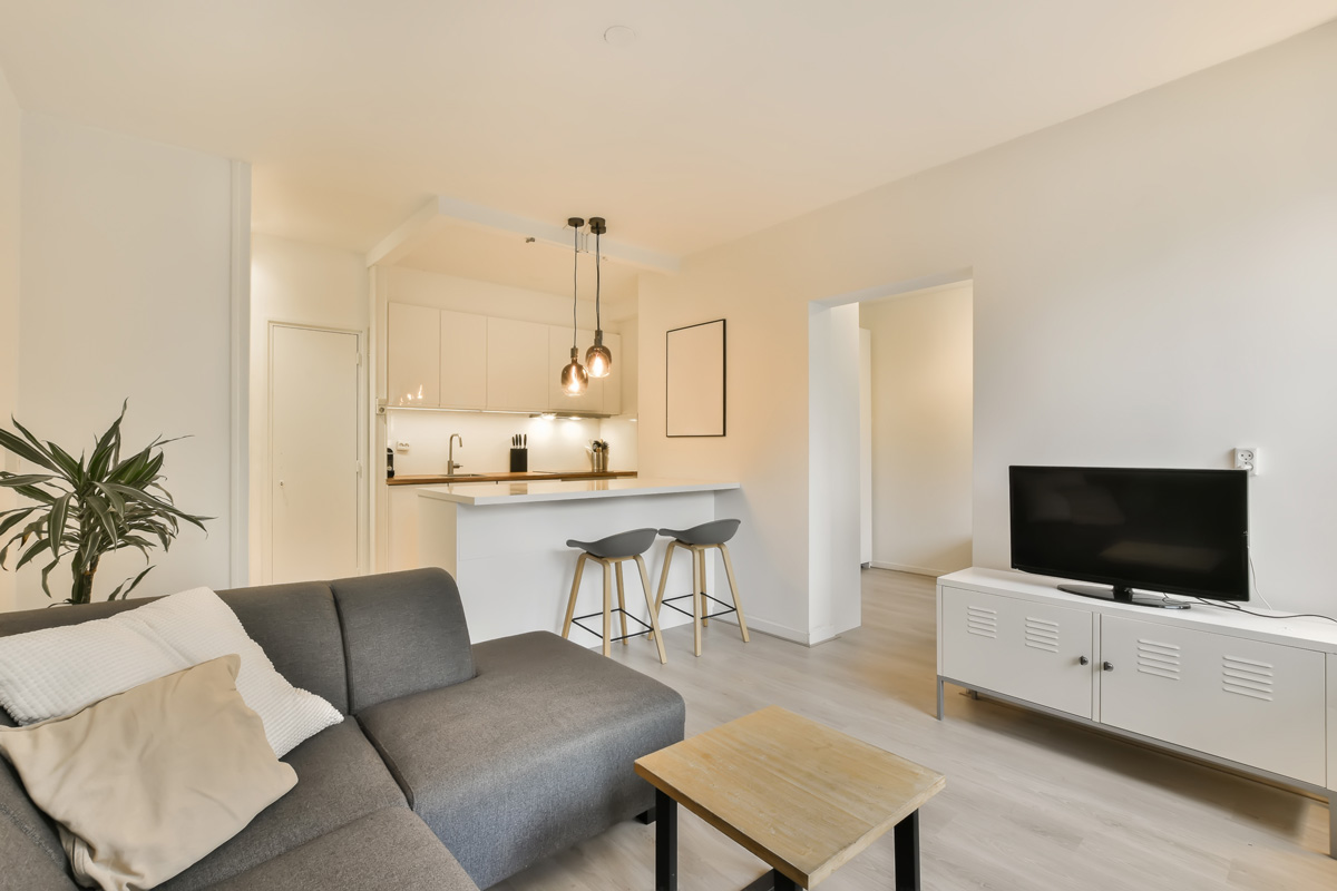 Salon meublé et décoré dans un appartement destiné à l’investissement locatif