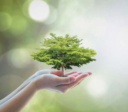rse-environnement