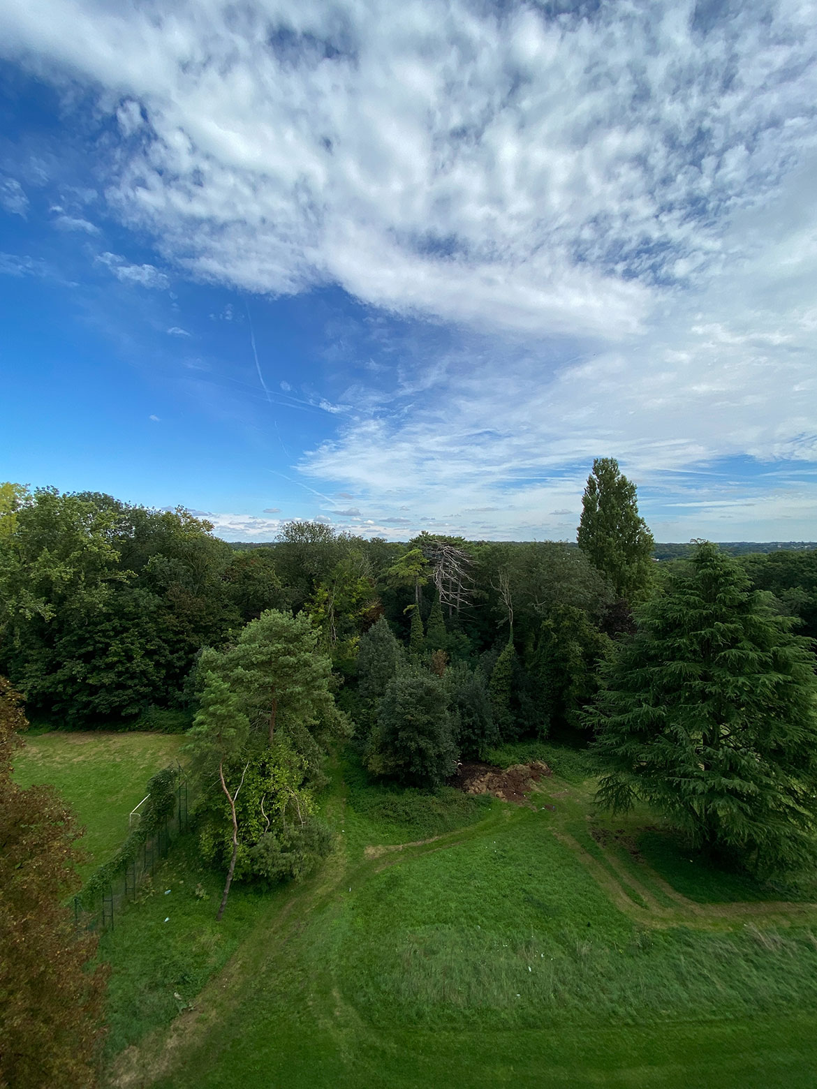 Parc arboré donnant sur une forêt avec aucun vis-à-vis